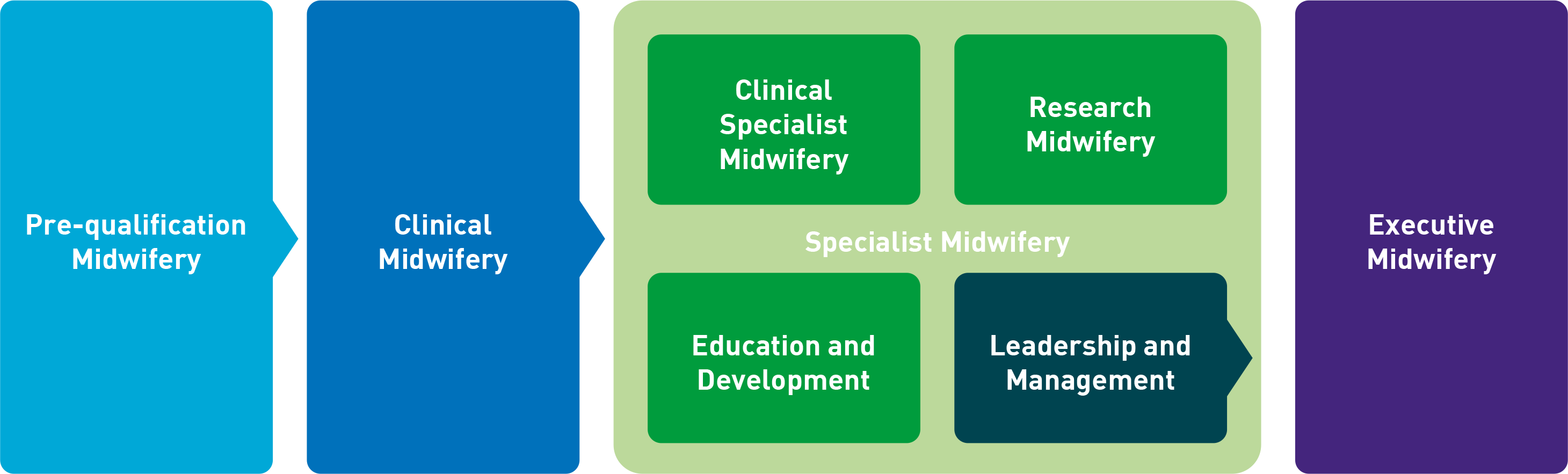 Midwifery Career Pathway