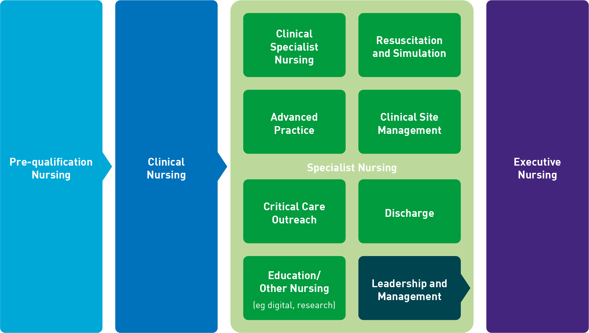 Nursing Career Pathway