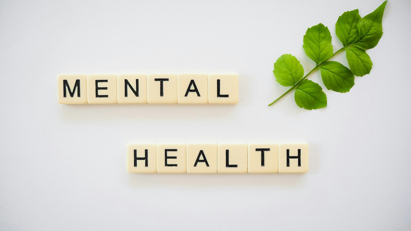 Mental health support